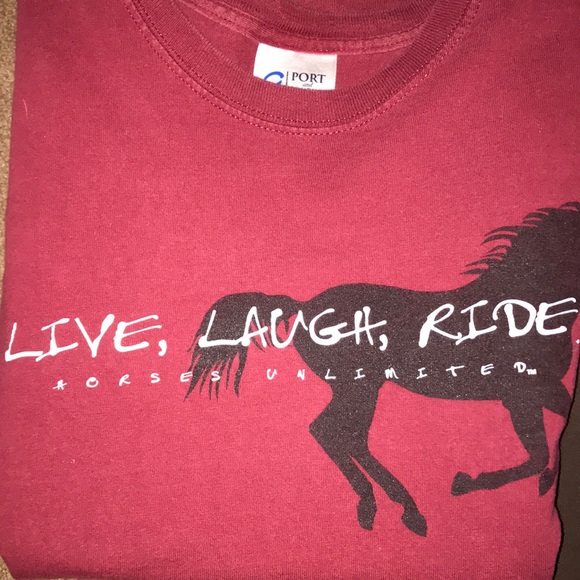Lot of 3 girls teen Horse T-Shirts tee shirts CUTE - Picture 3 of 8